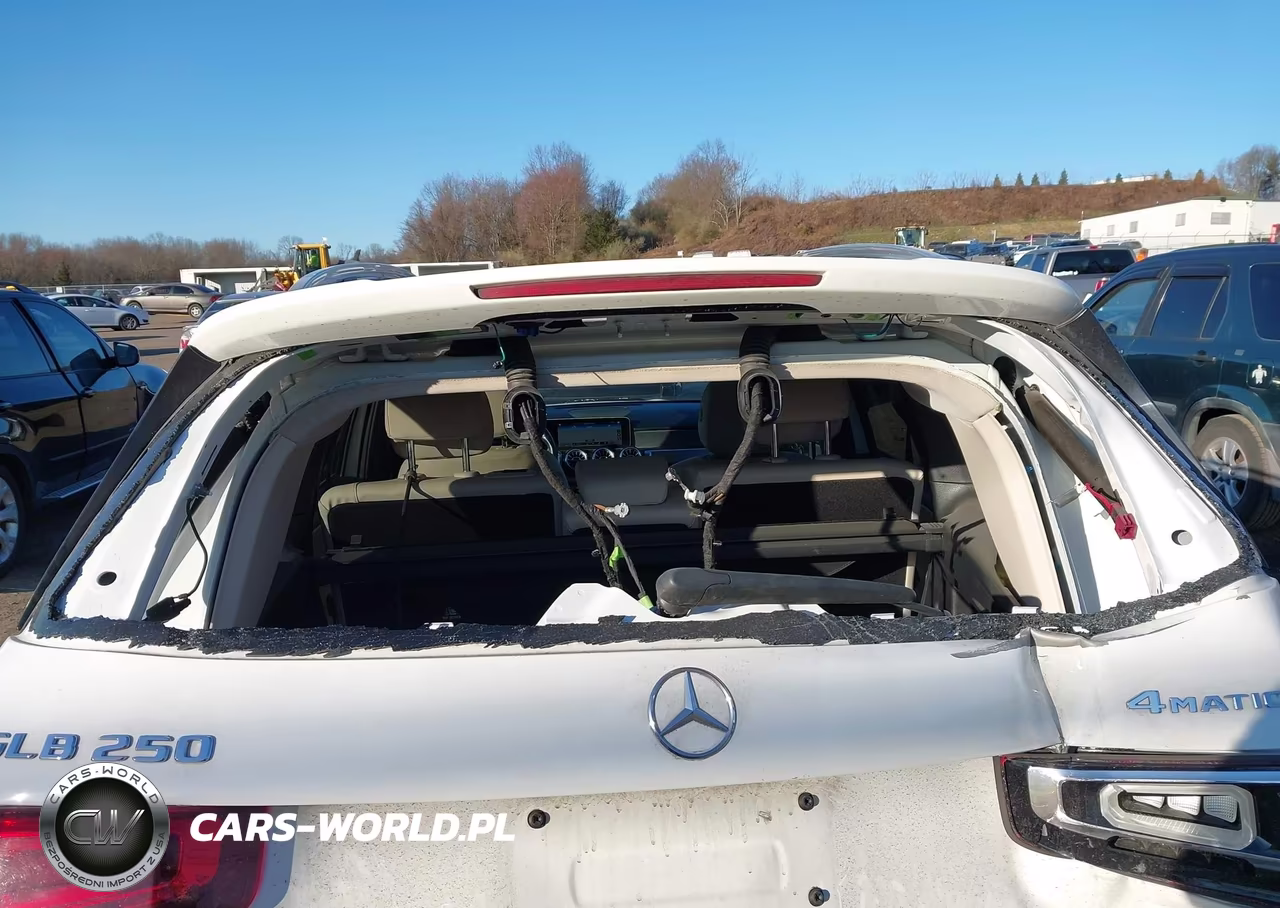 2021 Mercedes-Benz Glb 250 4Matic VIN:W1N4M4HB6MW149009 - 19