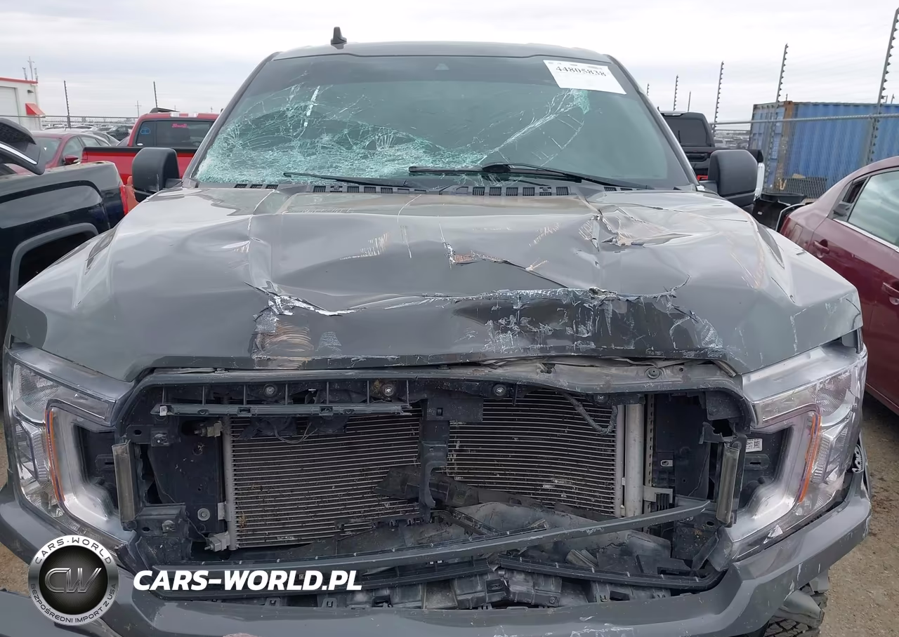 2020 Ford F-150 Xlt VIN:1FTEW1EP1LFB78338 - 13