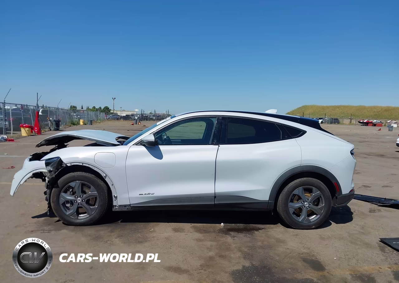 2021 Ford Mustang Mach-E Select VIN:3FMTK1RM1MMA41979 - 14