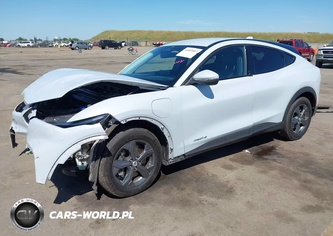 2021 Ford Mustang Mach-E Select VIN:3FMTK1RM1MMA41979 - 2