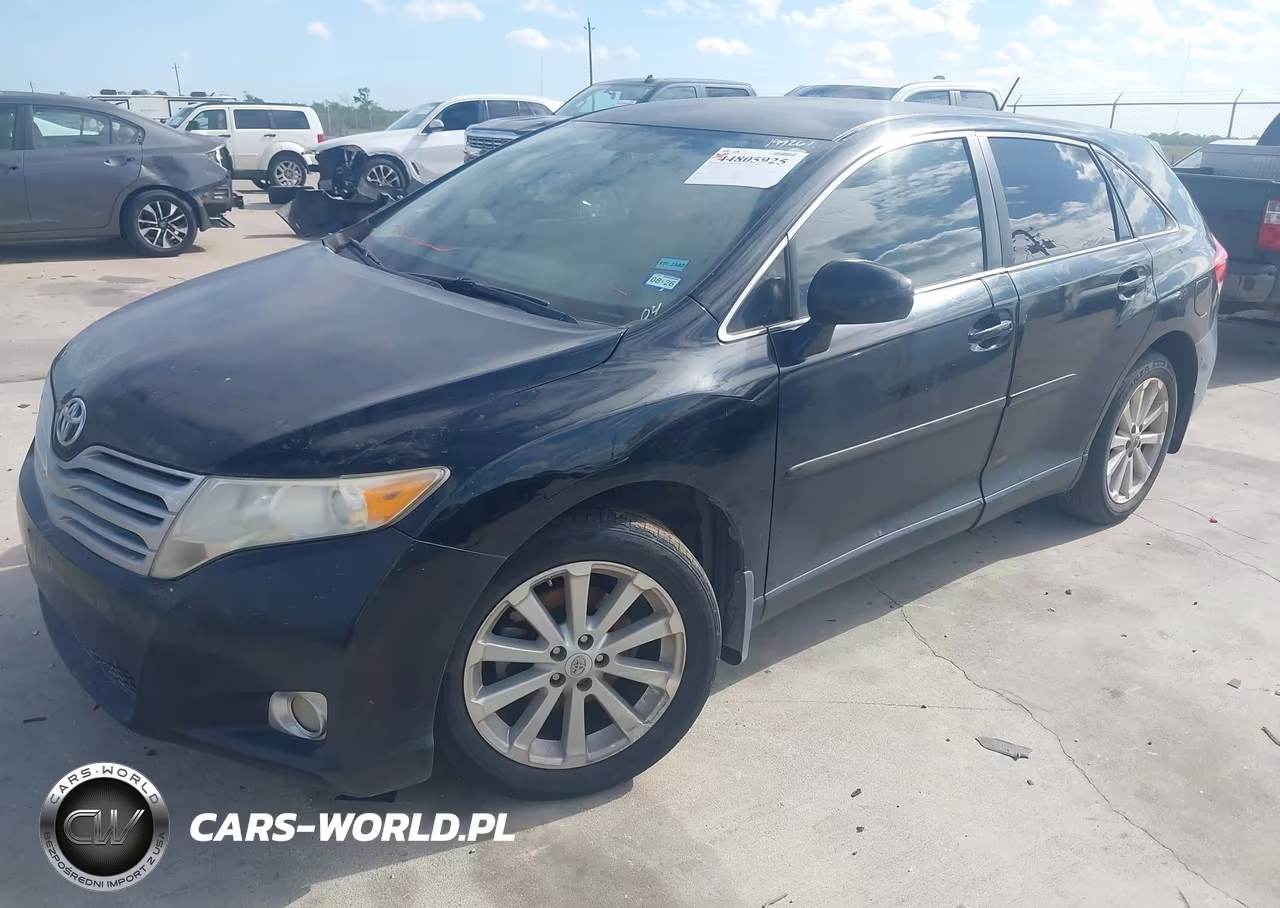 2009 Toyota Venza VIN:4T3ZE11A39U013212 - 2
