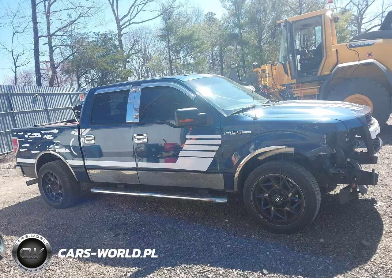 2014 Ford F-150 Xlt VIN:1FTFW1CF5EFB54920 - 13
