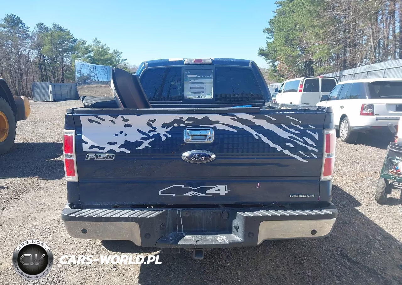 2014 Ford F-150 Xlt VIN:1FTFW1CF5EFB54920 - 16