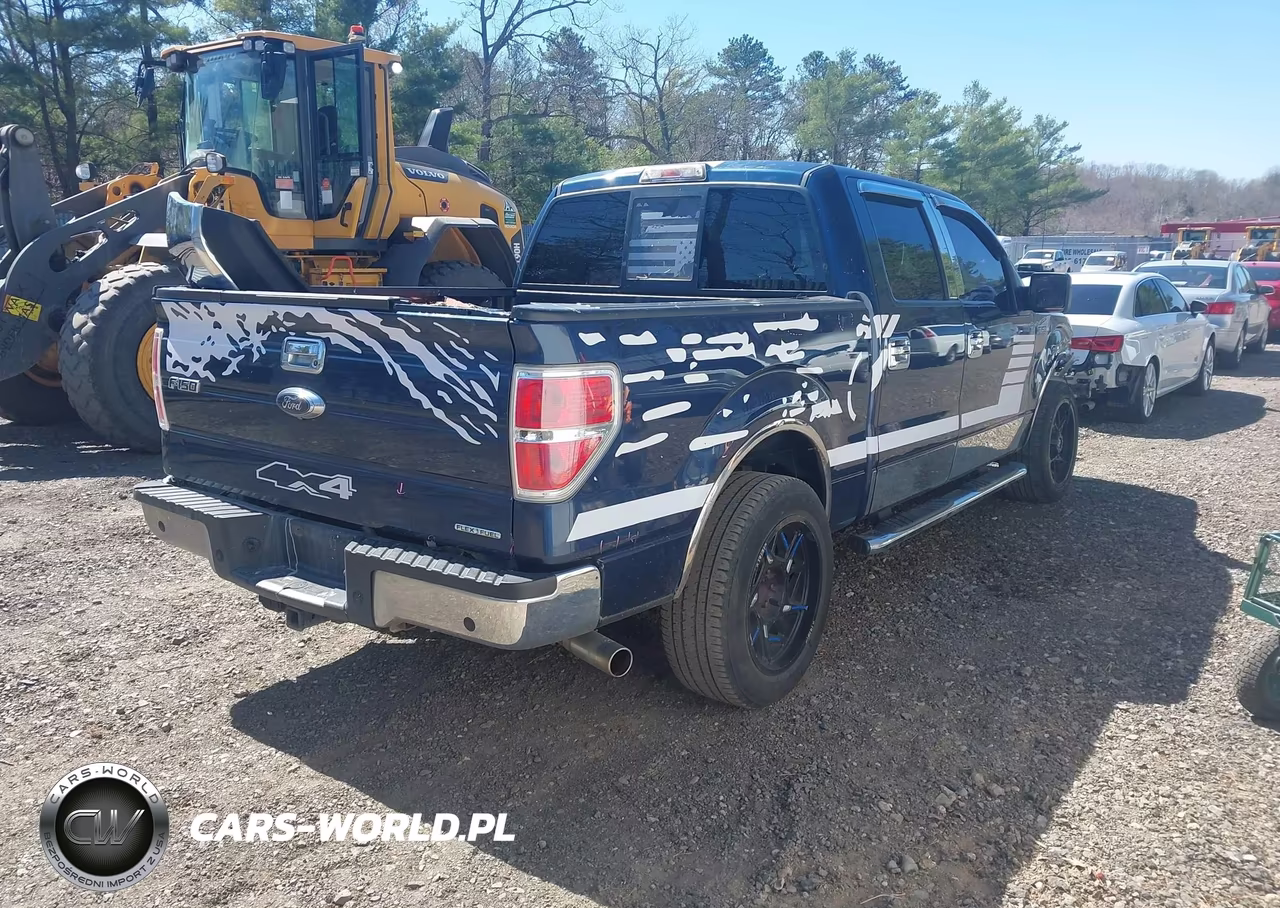 2014 Ford F-150 Xlt VIN:1FTFW1CF5EFB54920 - 4