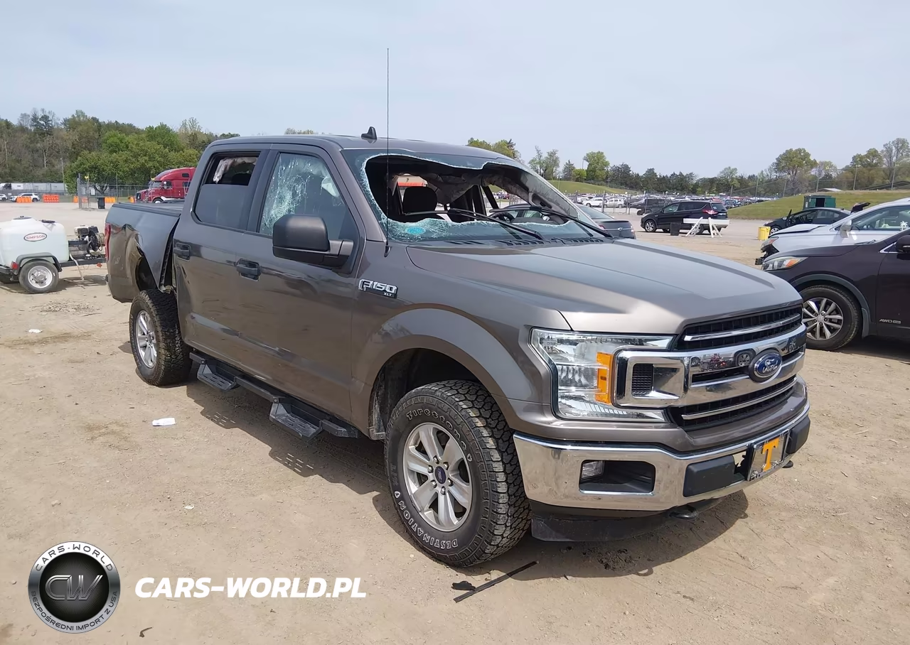 2019 Ford F-150 Xlt – zdjęcie 1 z 16