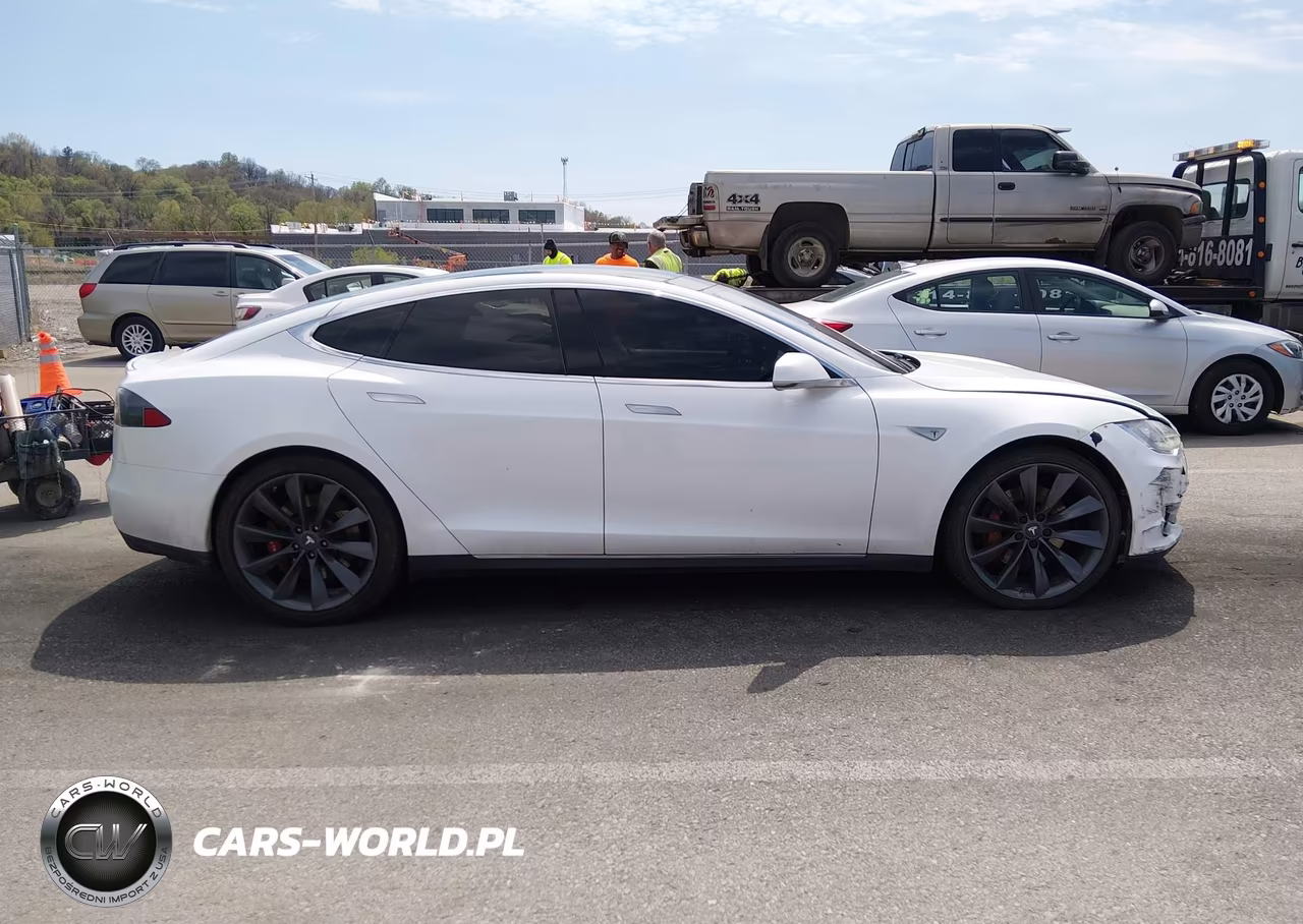 2013 Tesla Model S Performance VIN:5YJSA1DP1DFP05853 - 12