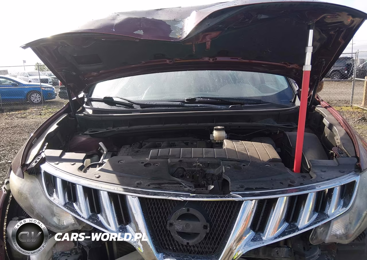 2009 Nissan Murano Sl VIN:JN8AZ18W79W155202 - 10