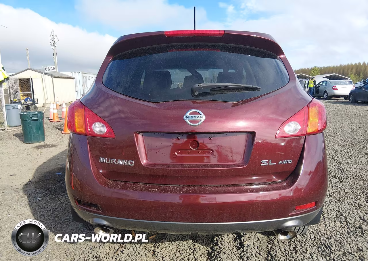2009 Nissan Murano Sl VIN:JN8AZ18W79W155202 - 17