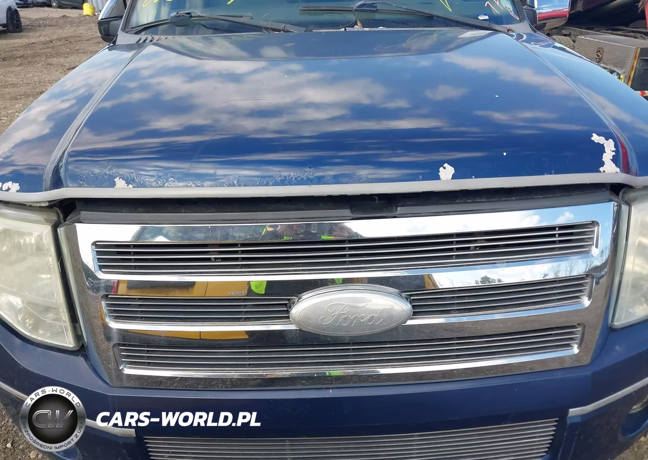 2008 Ford Expedition Xlt VIN:1FMFU165X8LA64320 - 10