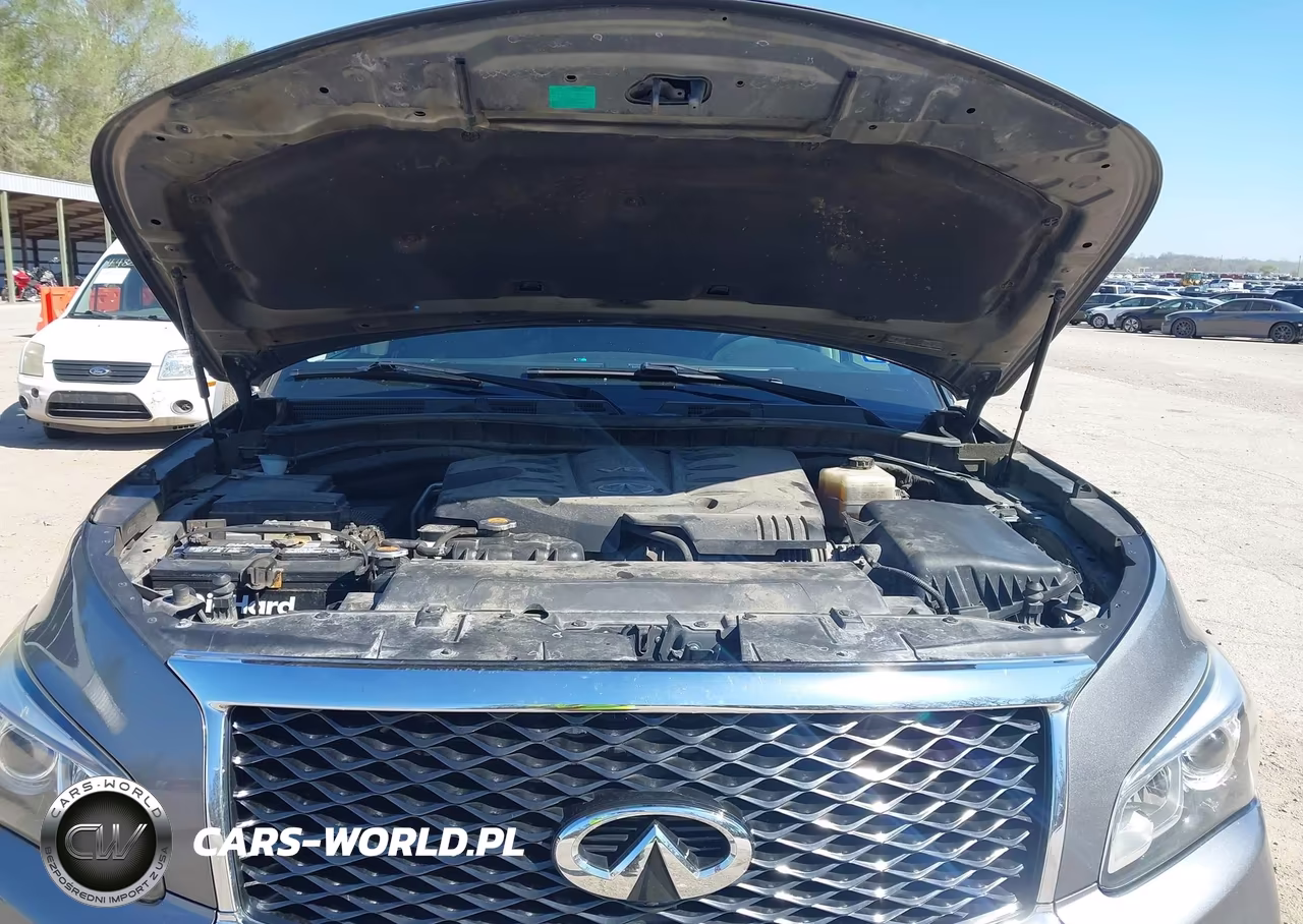 2015 Infiniti Qx80 VIN:JN8AZ2NF6F9572783 - 10