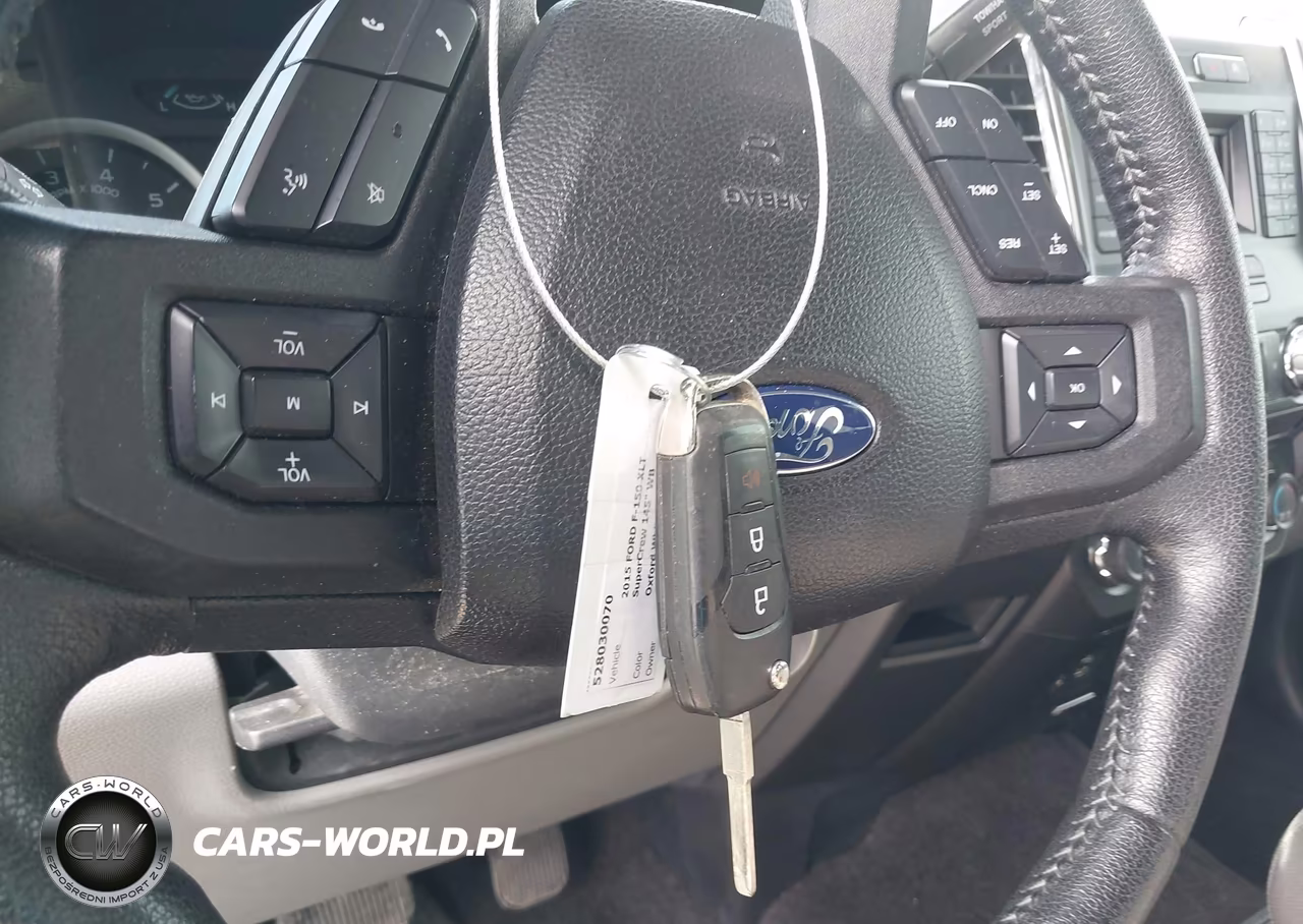 2015 Ford F-150 Xlt VIN:1FTEW1CP6FKE48212 - 11