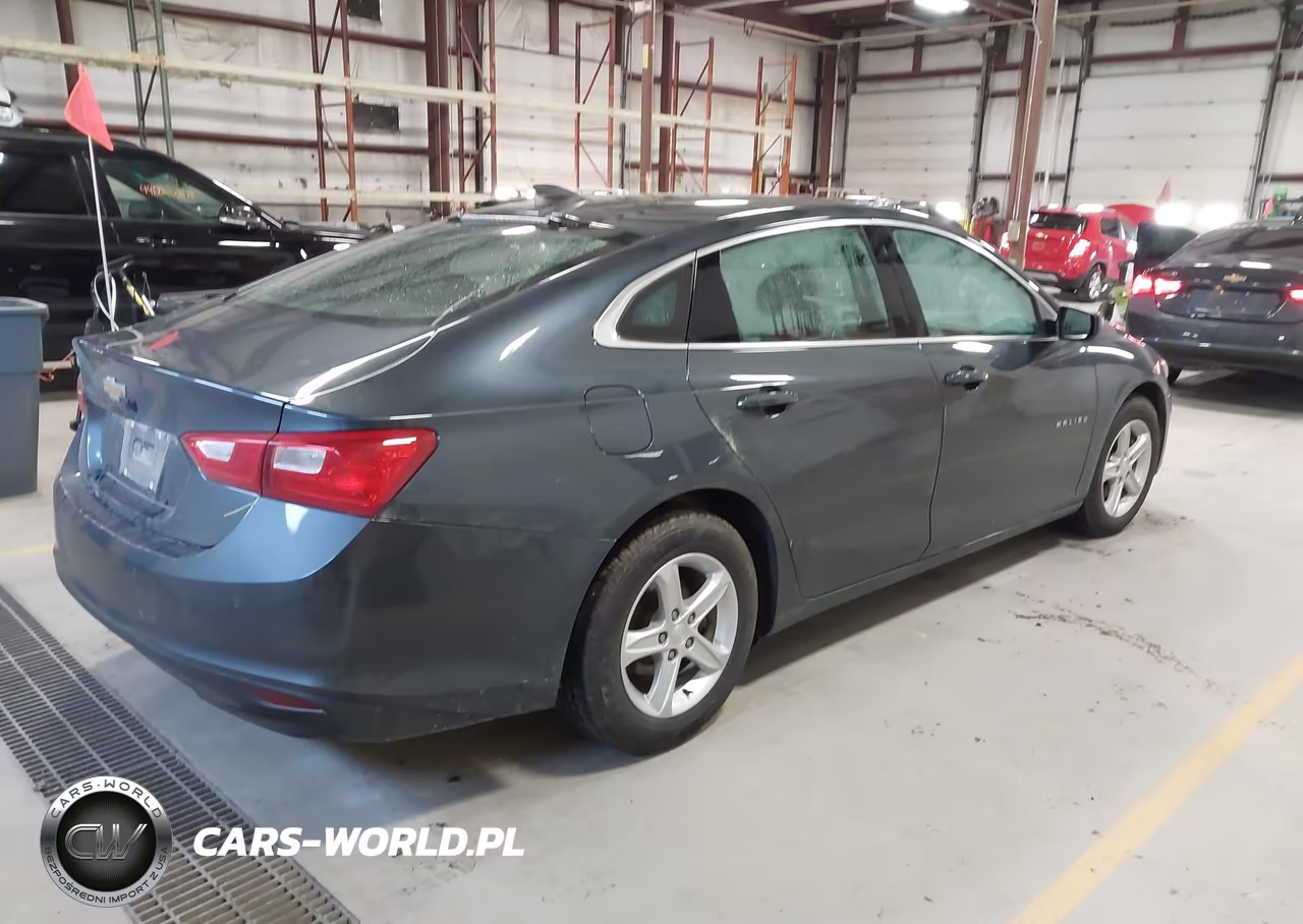 2020 Chevrolet Malibu Fwd 1Fl VIN:1G1ZC5ST4LF107811 - 4