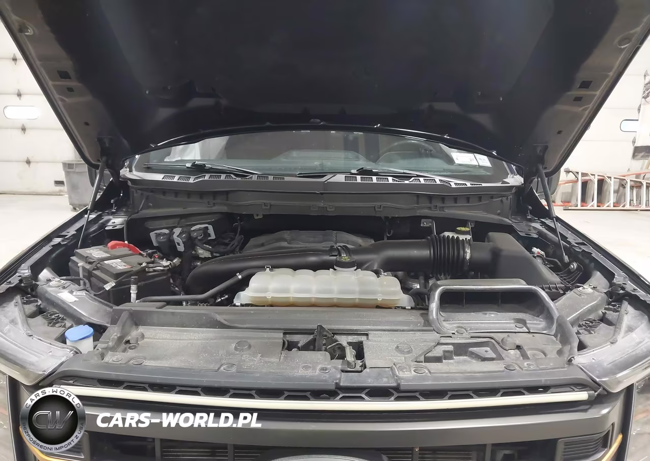2023 Ford F-150 Tremor VIN:1FTEW1E88PFB97676 - 10