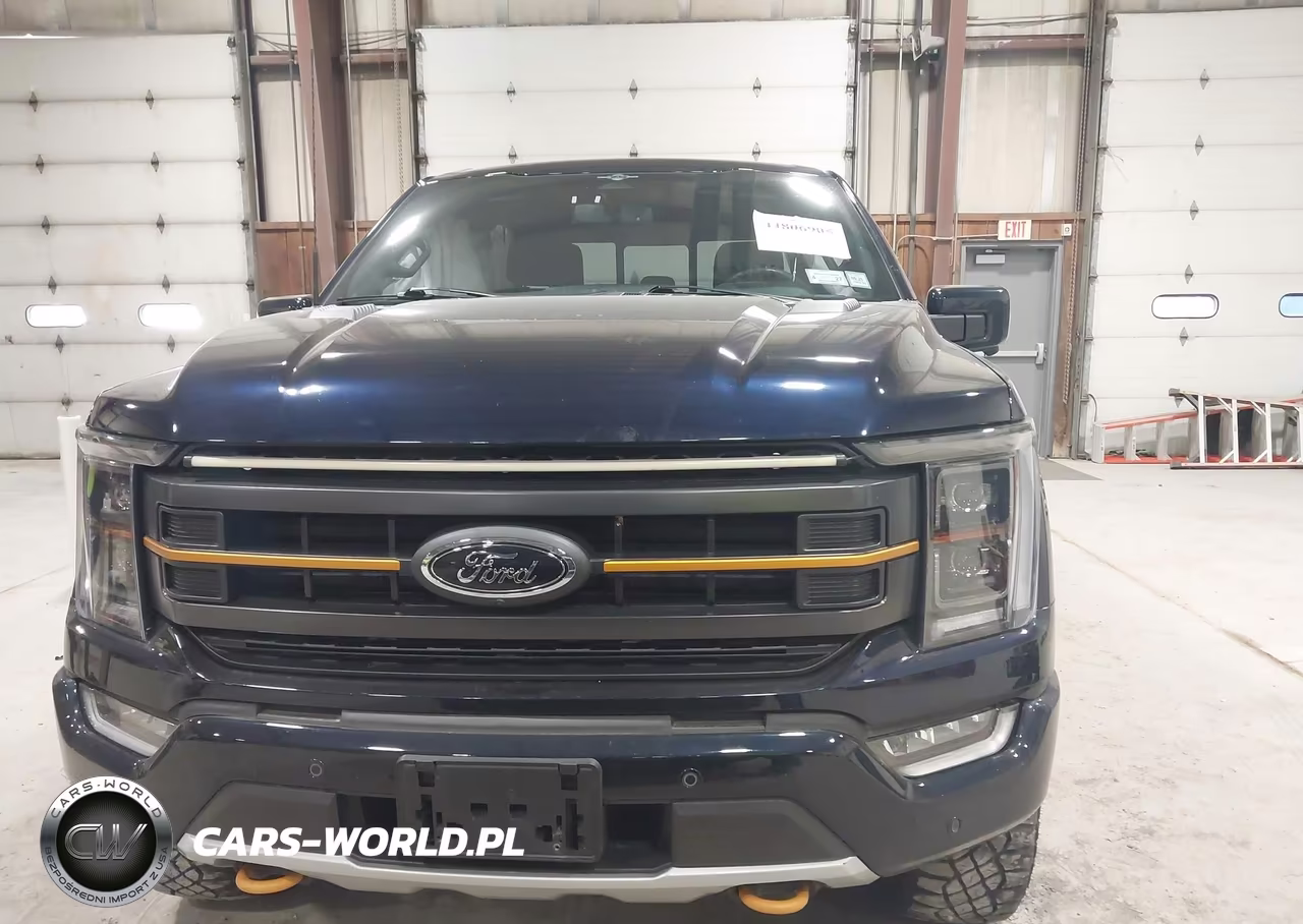 2023 Ford F-150 Tremor VIN:1FTEW1E88PFB97676 - 12