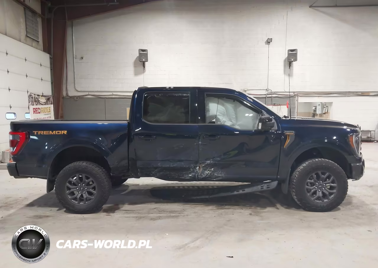 2023 Ford F-150 Tremor VIN:1FTEW1E88PFB97676 - 13