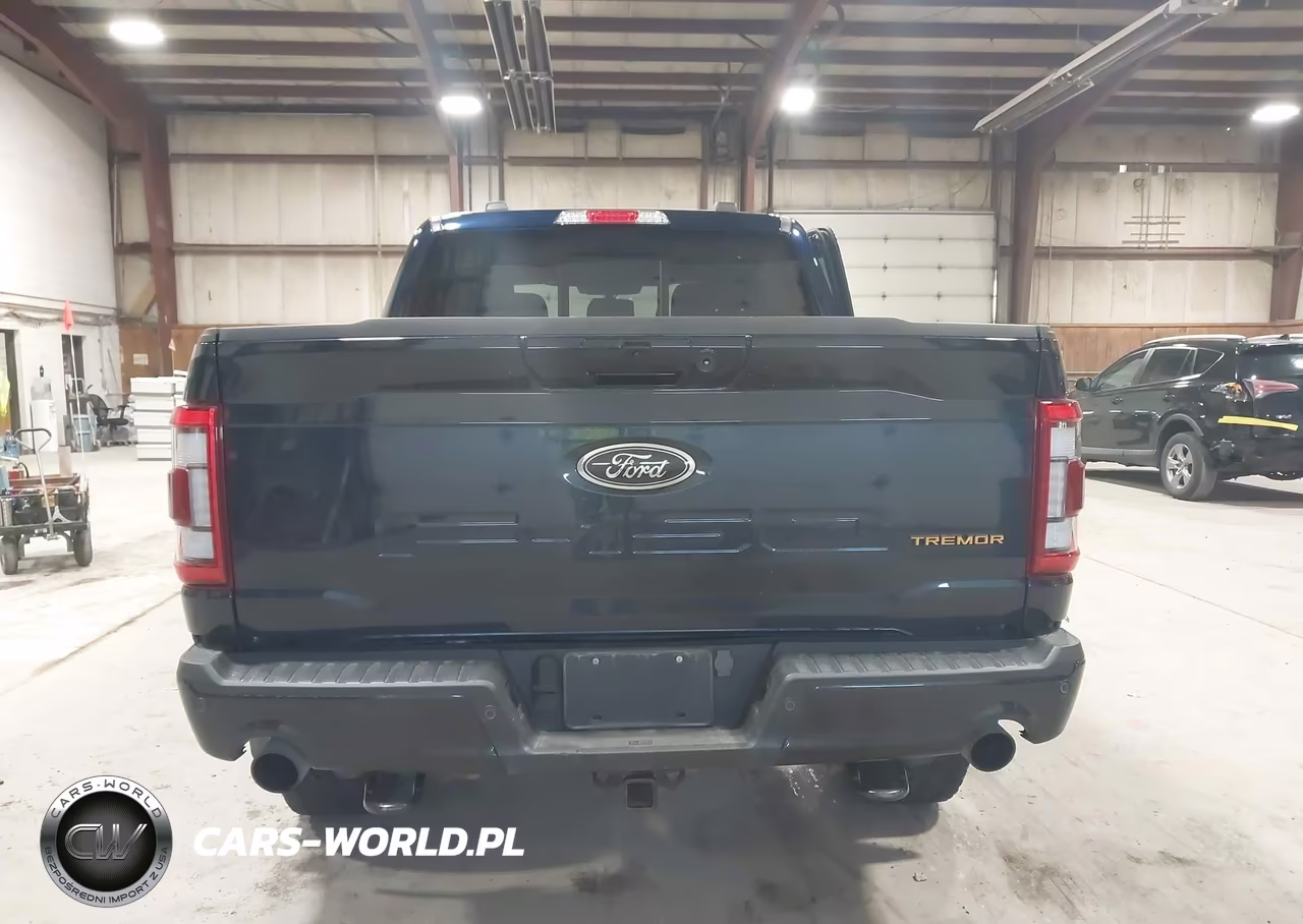 2023 Ford F-150 Tremor VIN:1FTEW1E88PFB97676 - 16