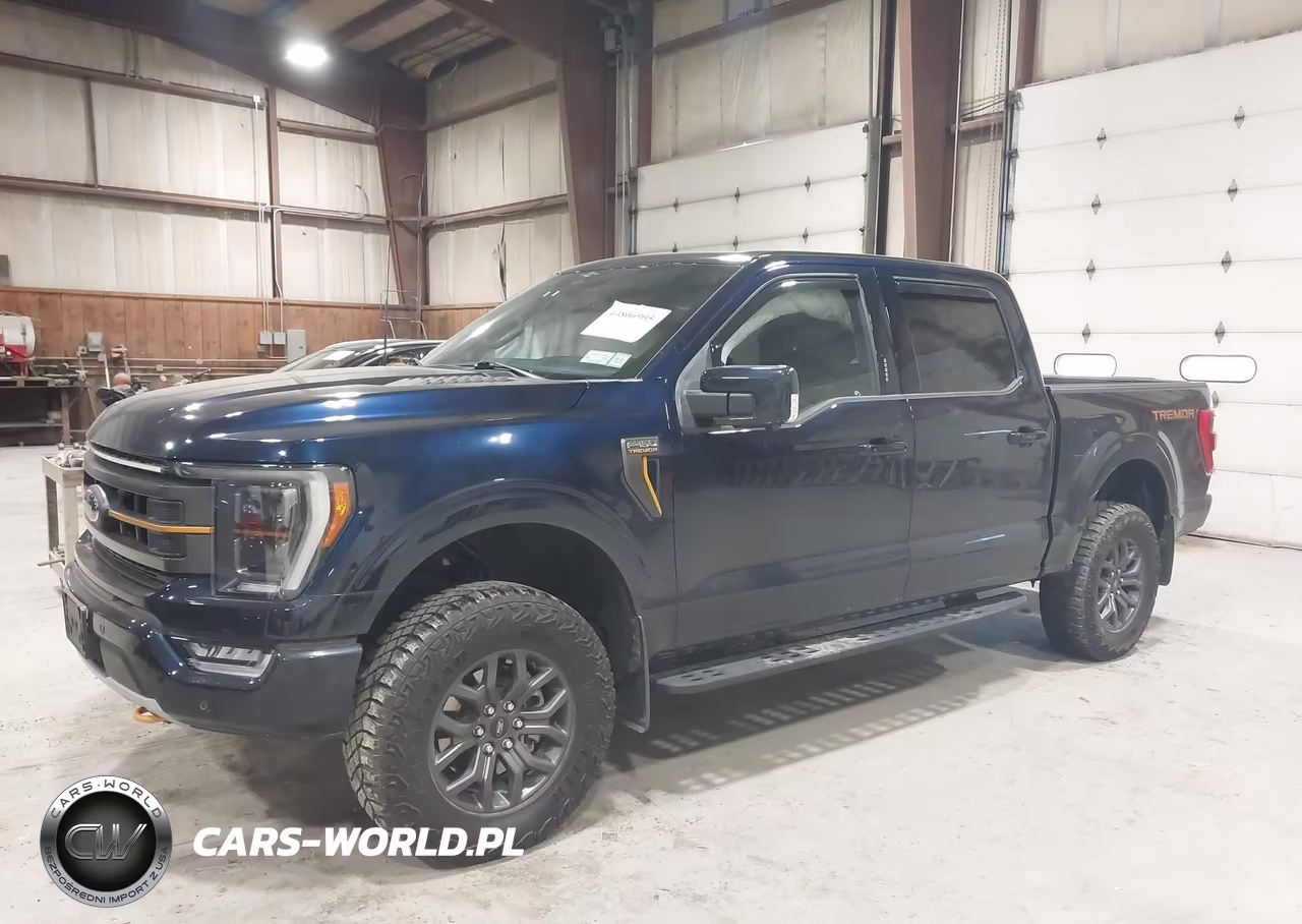 2023 Ford F-150 Tremor VIN:1FTEW1E88PFB97676 - 2