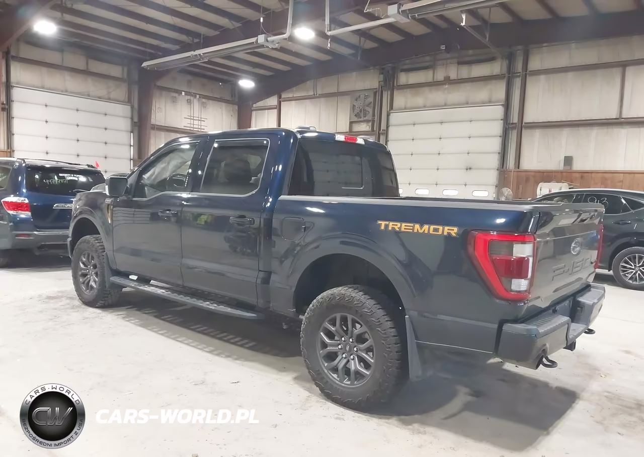 2023 Ford F-150 Tremor VIN:1FTEW1E88PFB97676 - 3