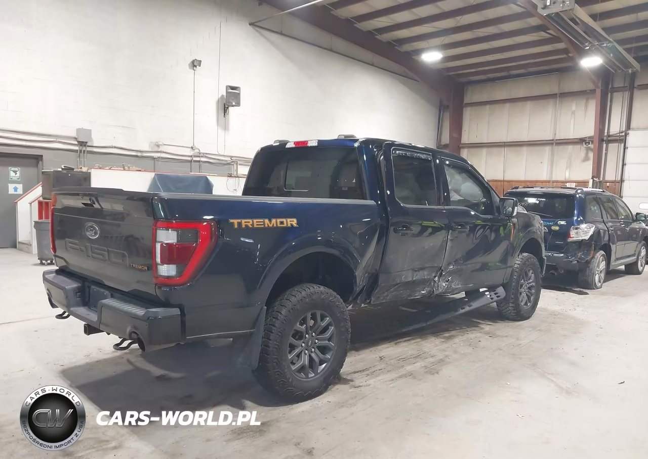2023 Ford F-150 Tremor VIN:1FTEW1E88PFB97676 - 4