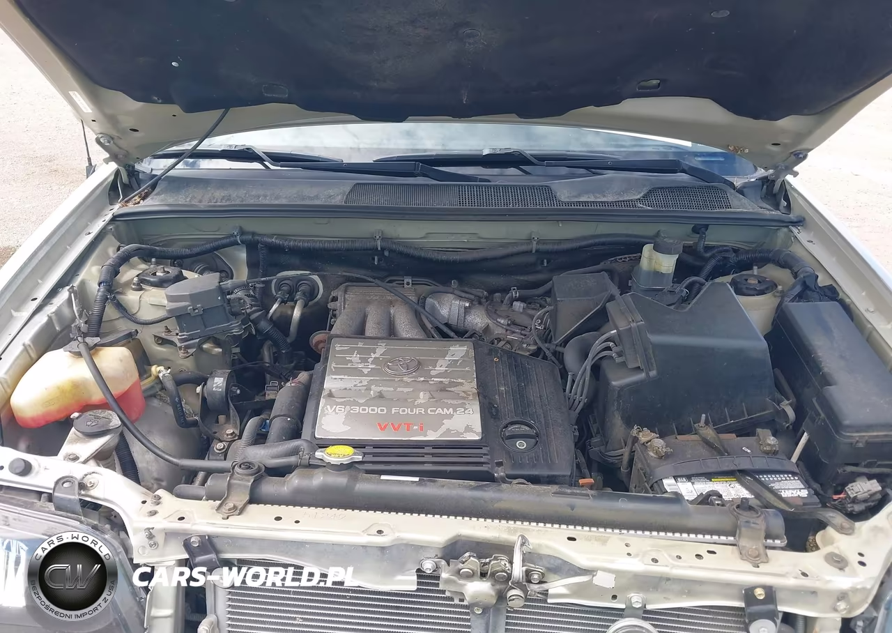 2002 Toyota Highlander V6 VIN:JTEGF21A120051909 - 10