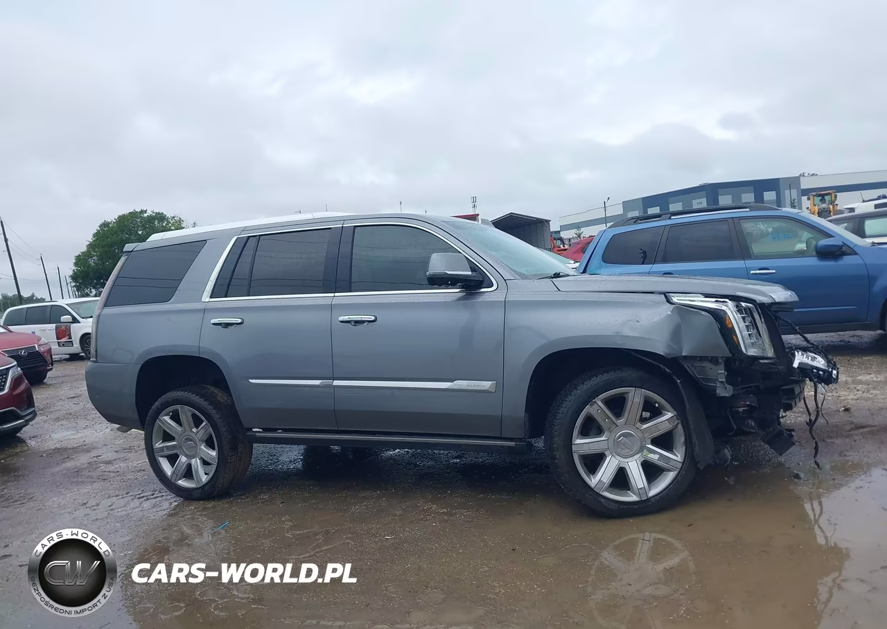 2019 Cadillac Escalade Premium Luxury VIN:1GYS3CKJ4KR243990 - 13