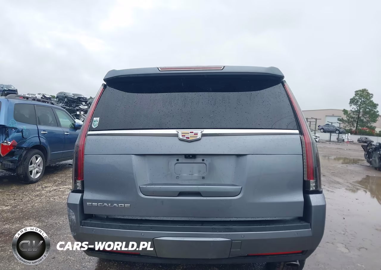 2019 Cadillac Escalade Premium Luxury VIN:1GYS3CKJ4KR243990 - 16