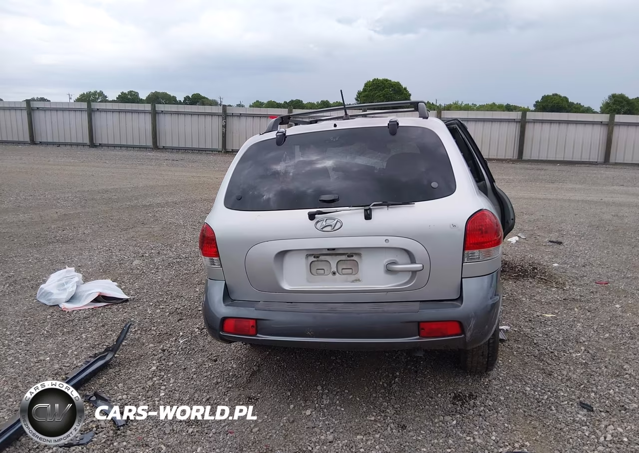 2006 Hyundai Santa Fe Gls VIN:KM8SC13D46U101317 - 17