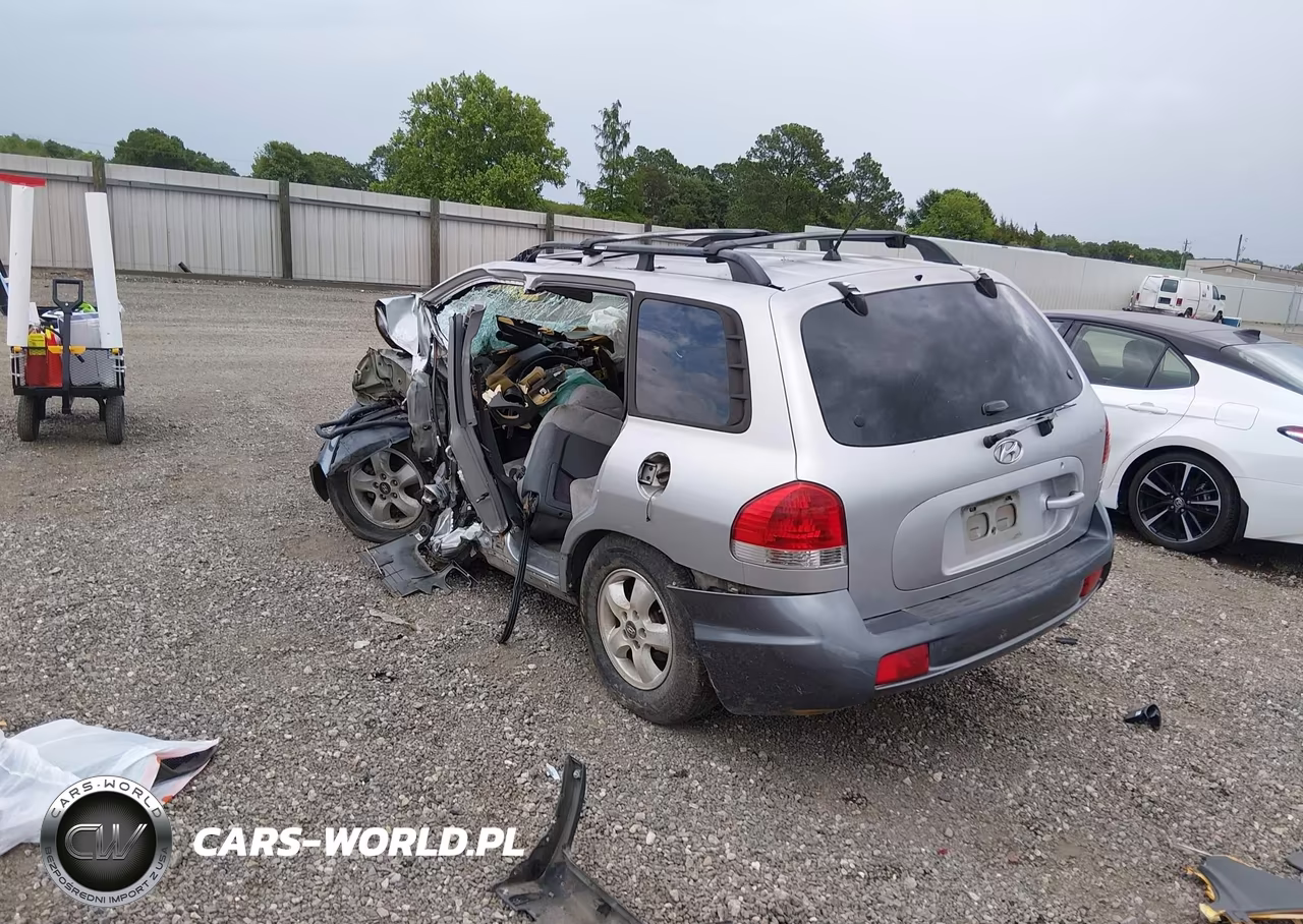 2006 Hyundai Santa Fe Gls VIN:KM8SC13D46U101317 - 3
