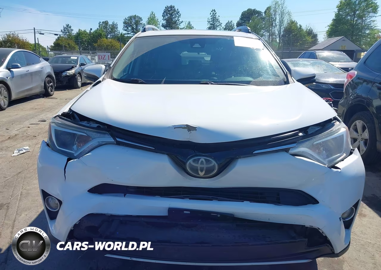 2017 Toyota Rav4 Xle VIN:2T3WFREV7HW320621 - 12