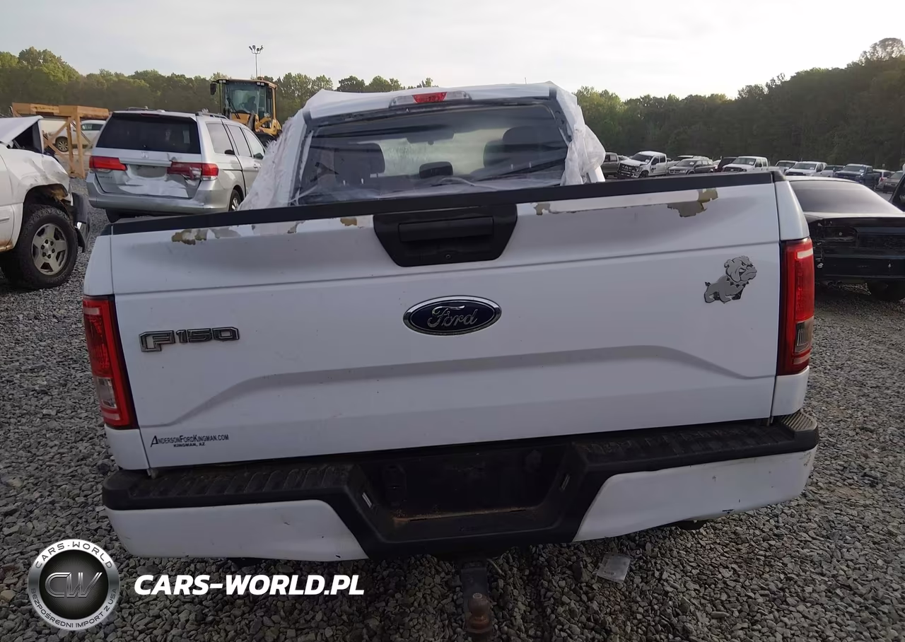 2017 Ford F-150 Xl VIN:1FTEX1CP4HKC74253 - 17