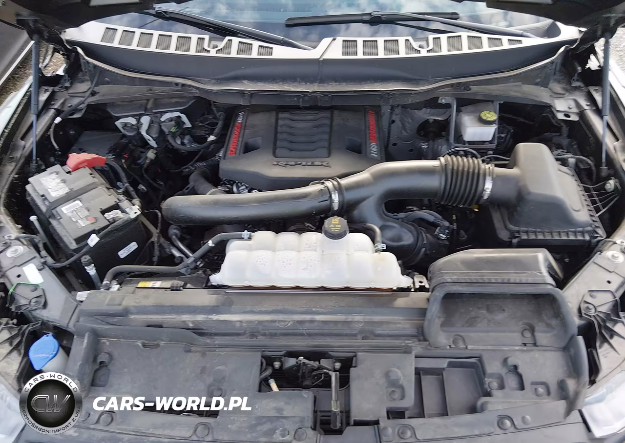 2024 Ford F-150 Raptor VIN:1FTFW1RG6RFC16976 - 10