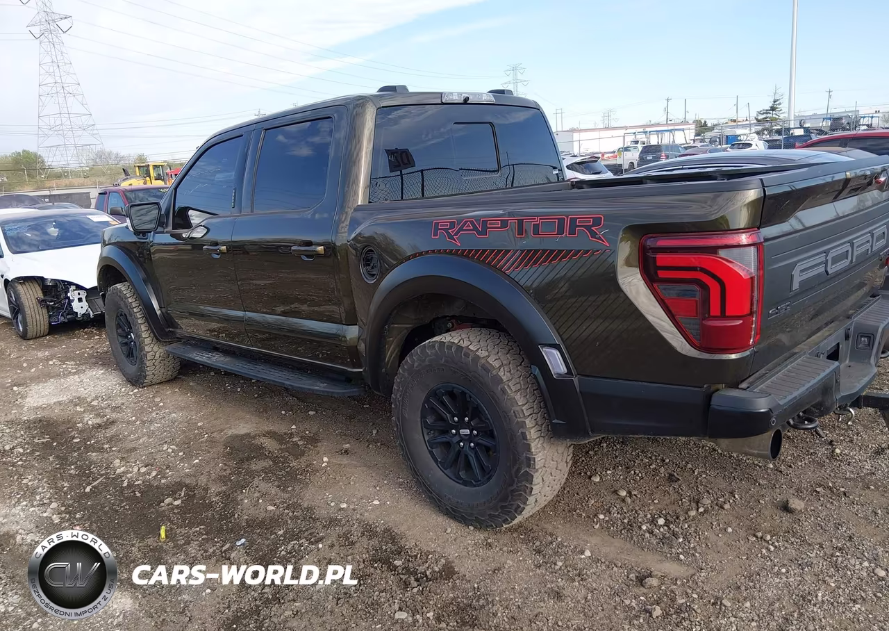 2024 Ford F-150 Raptor VIN:1FTFW1RG6RFC16976 - 13
