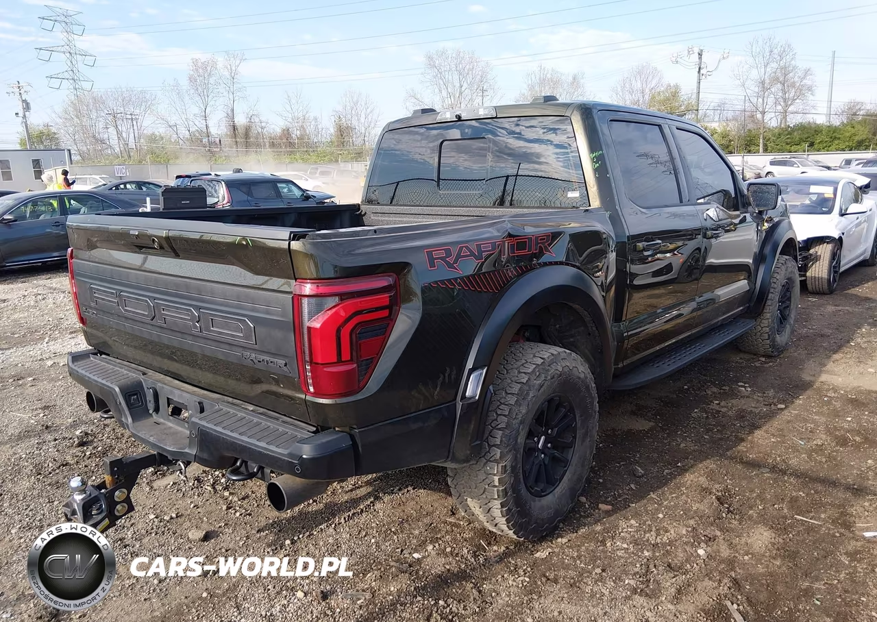 2024 Ford F-150 Raptor VIN:1FTFW1RG6RFC16976 - 4