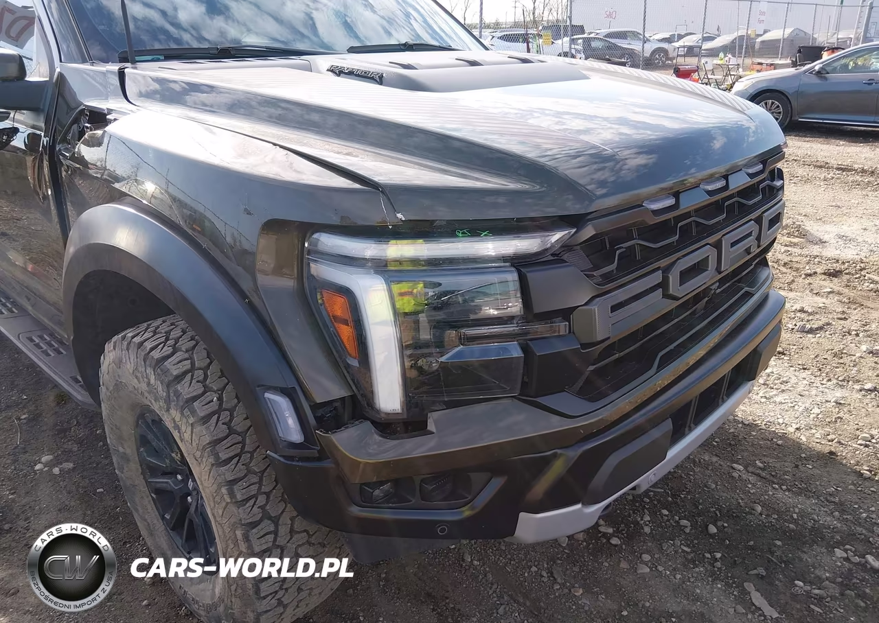 2024 Ford F-150 Raptor VIN:1FTFW1RG6RFC16976 - 6
