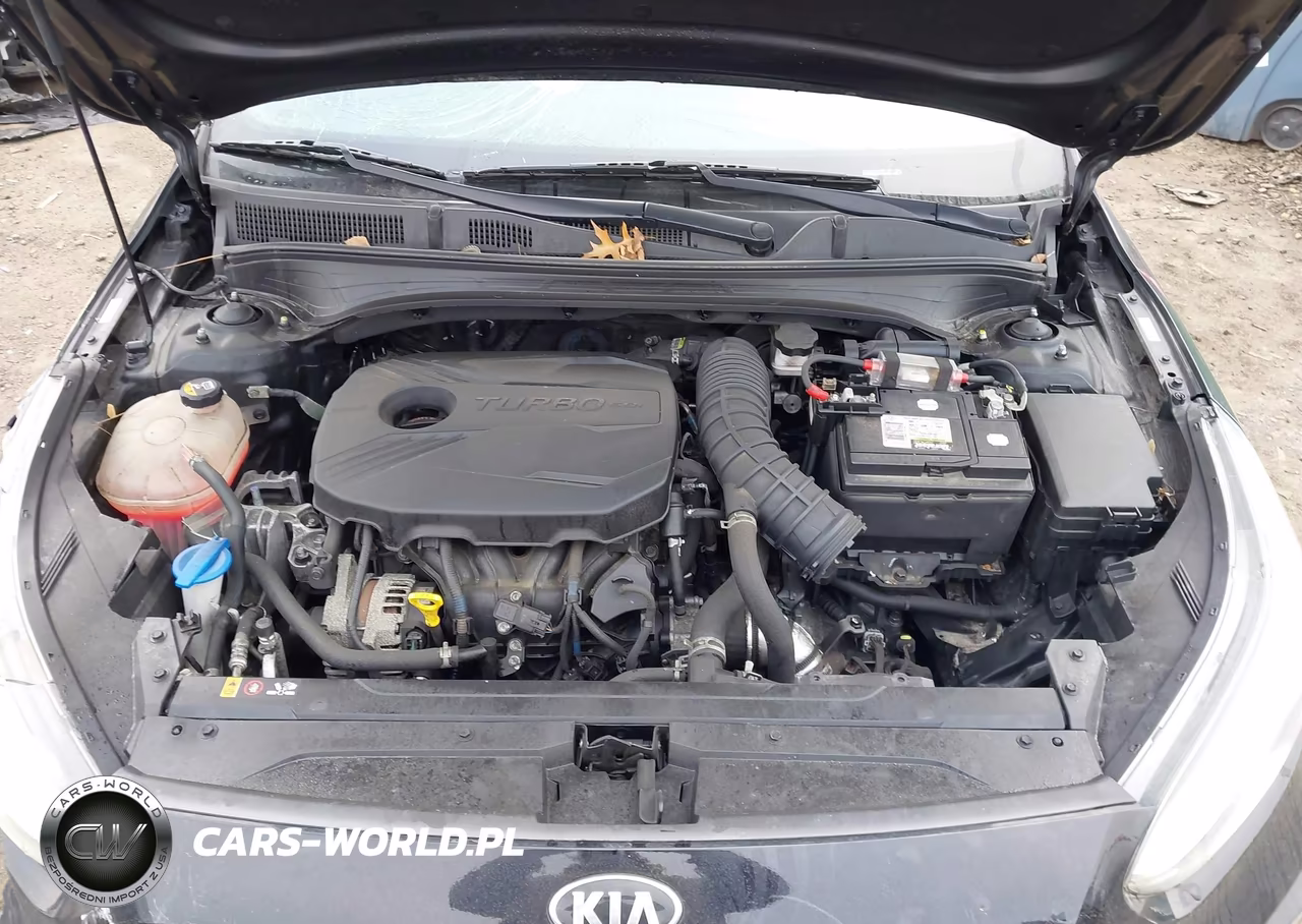2021 Kia Forte Gt VIN:3KPF44AC3ME415289 - 10