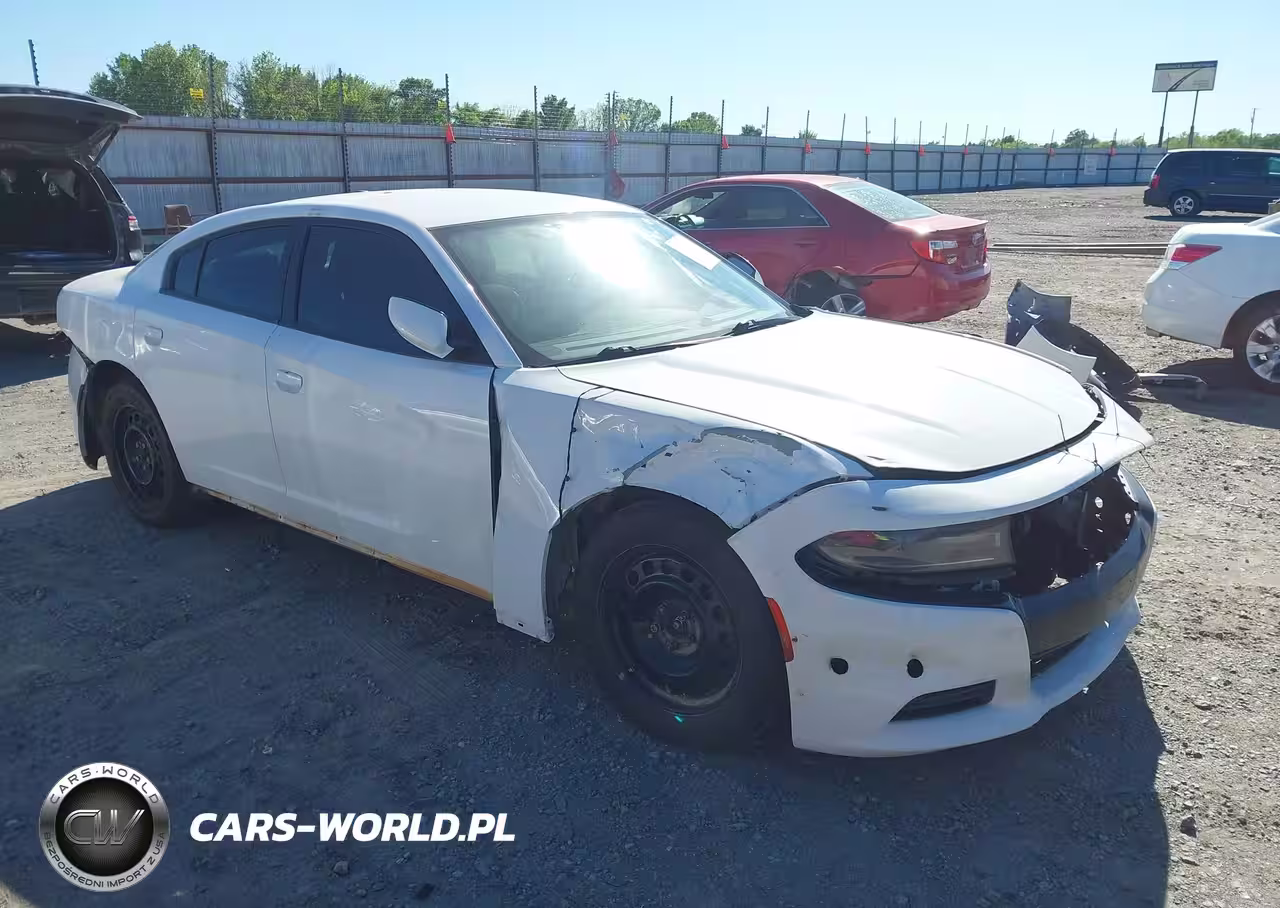 2019 Dodge Charger Police Awd