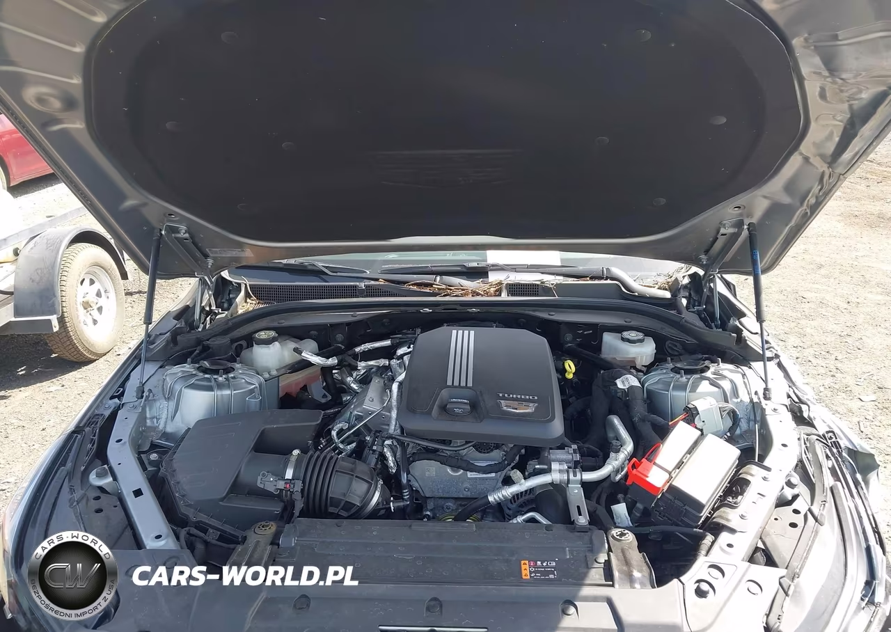 2023 Cadillac Ct5 Luxury VIN:1G6DS5RK1P0116527 - 10