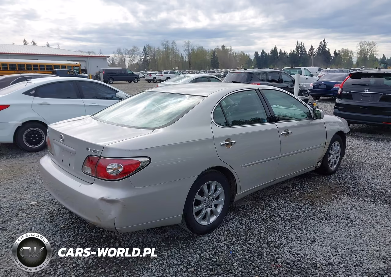 2002 Lexus Es 300 VIN:JTHBF30G125014838 - 4