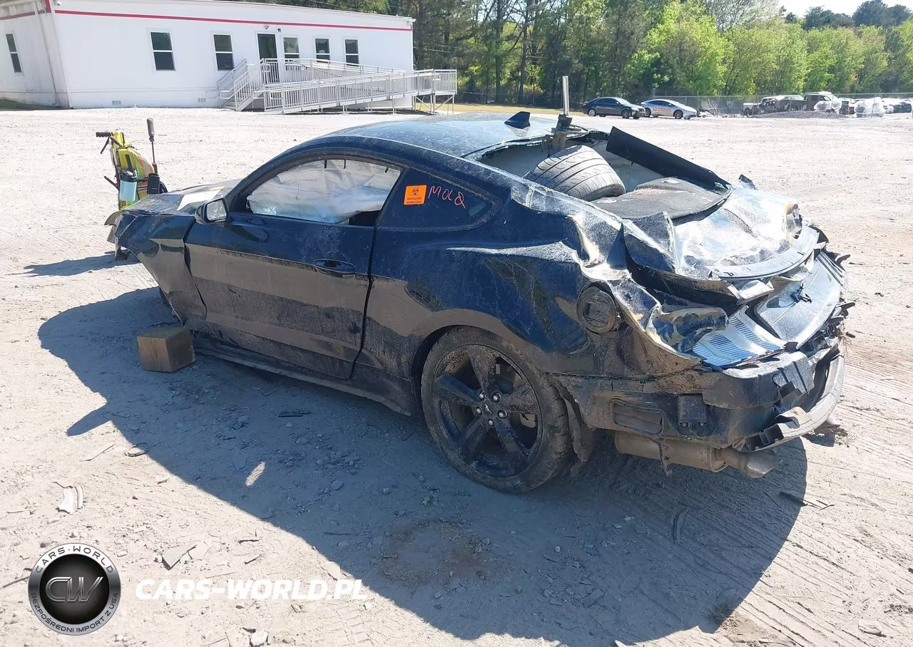 2022 Ford Mustang Ecoboost Fastback VIN:1FA6P8TH9N5139694 - 3