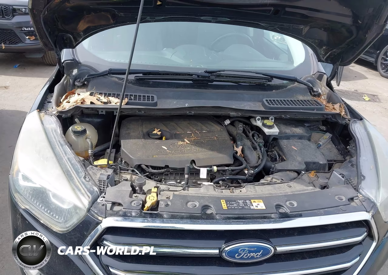 2017 Ford Escape Se VIN:1FMCU0GD4HUA18754 - 10