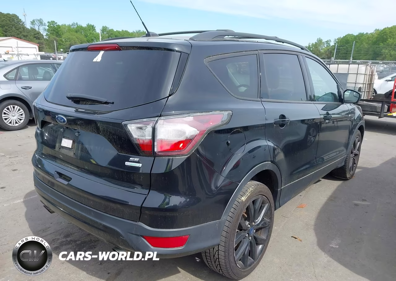 2017 Ford Escape Se VIN:1FMCU0GD4HUA18754 - 4