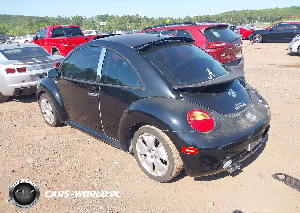 2002 Volkswagen New Beetle Turbo S VIN:3VWFE21C72M437359 - 3