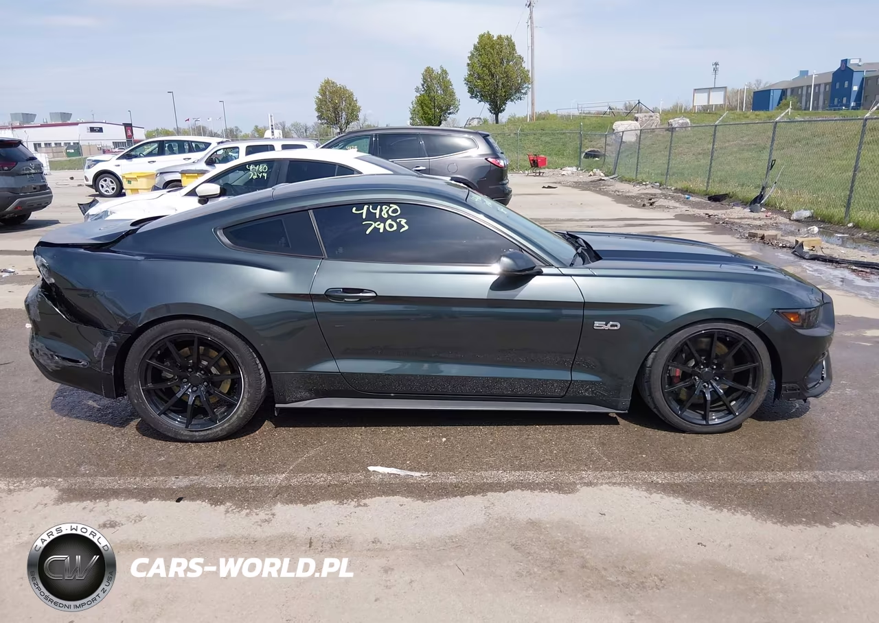 2015 Ford Mustang Gt VIN:1FA6P8CF7F5336346 - 13
