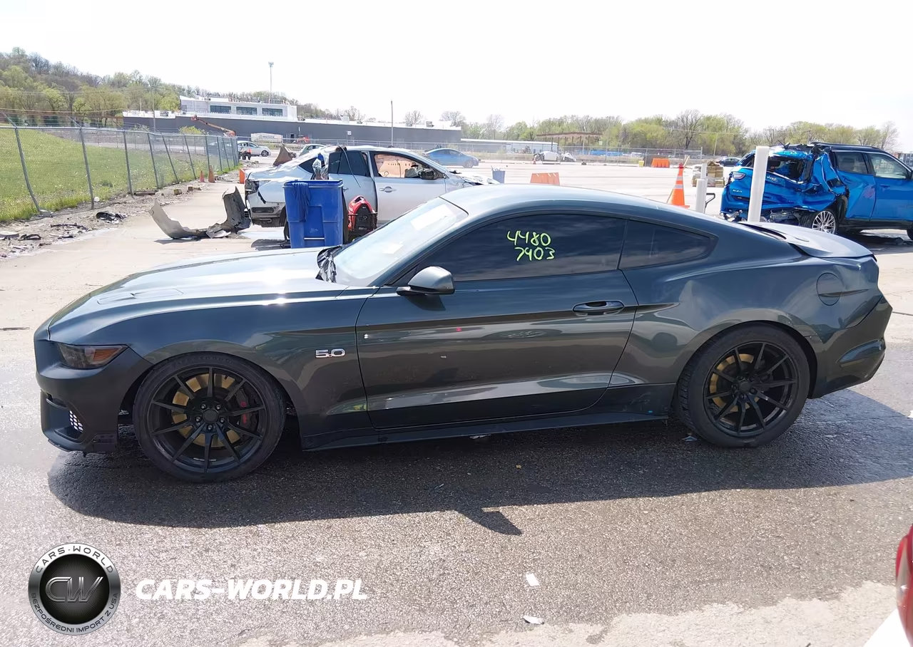 2015 Ford Mustang Gt VIN:1FA6P8CF7F5336346 - 14