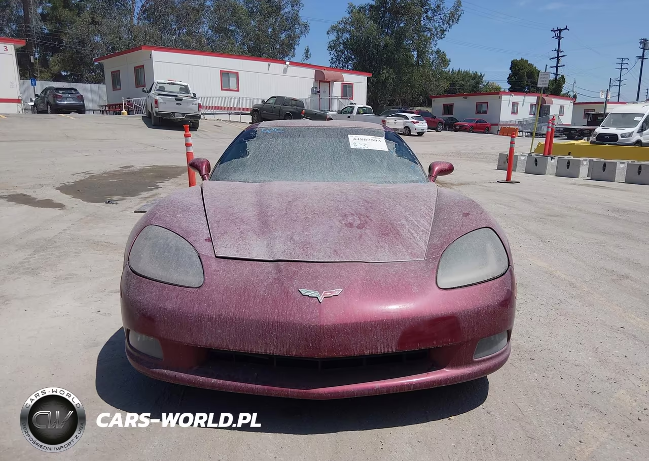 2006 Chevrolet Corvette VIN:1G1YY26U965123219 - 13