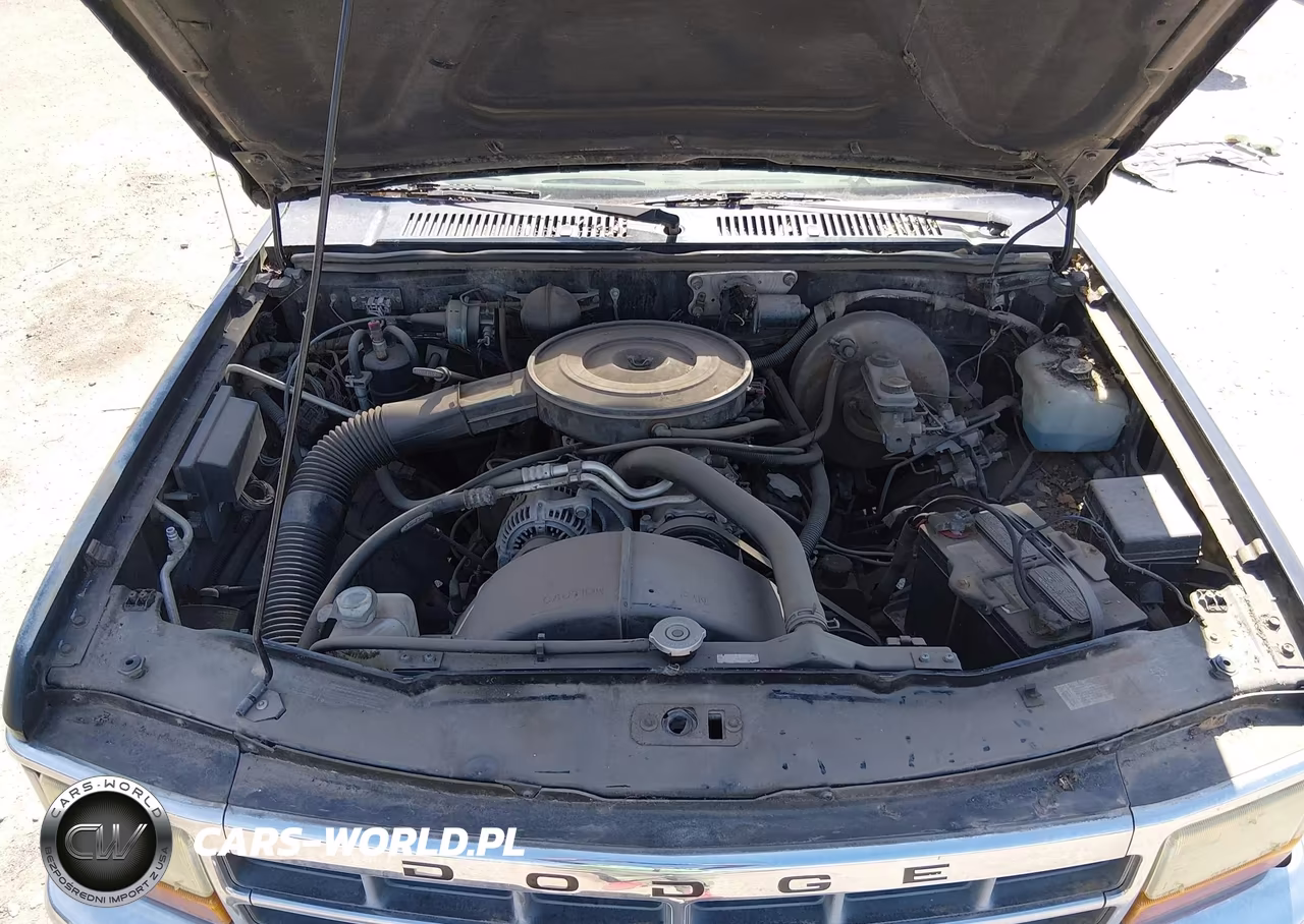 1996 Dodge Dakota VIN:1B7GL23X2TS523863 - 10