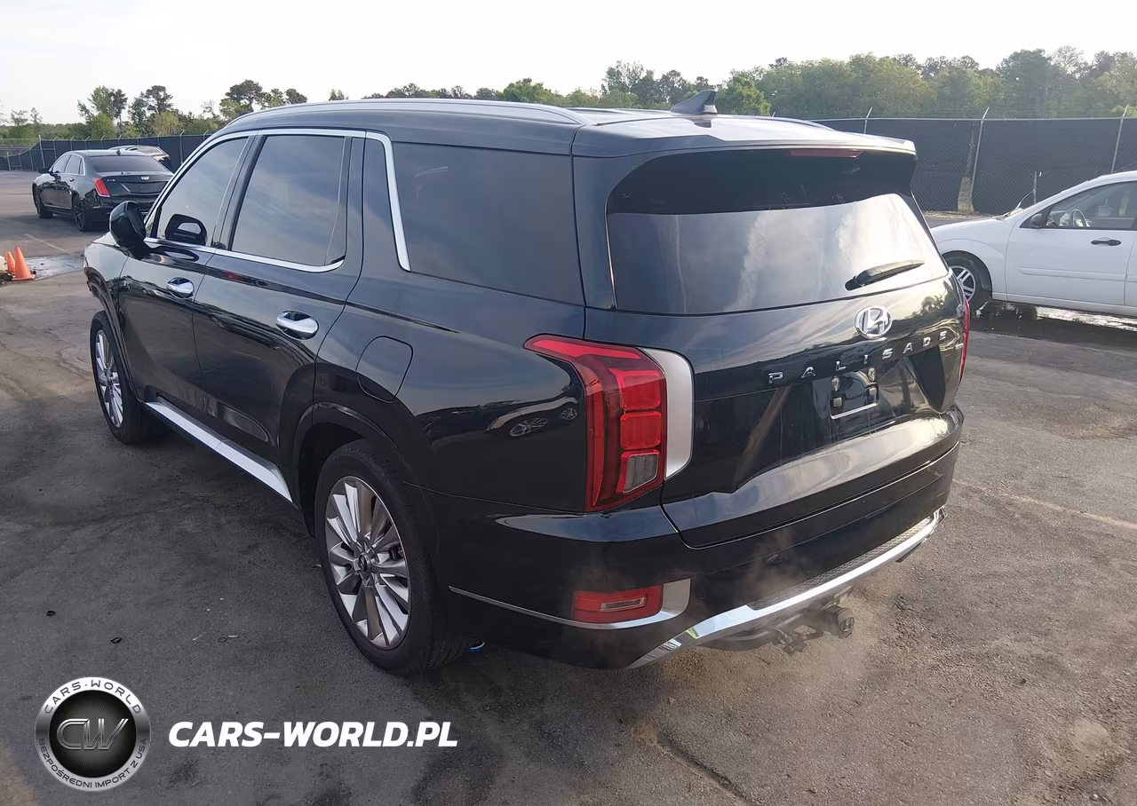 2020 Hyundai Palisade Limited VIN:KM8R5DHEXLU123751 - 3