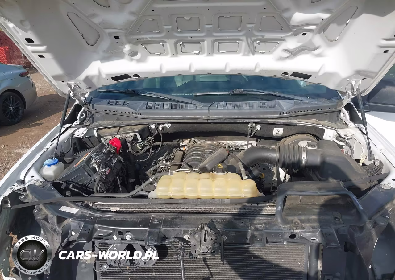 2019 Ford F-150 Xl VIN:1FTEX1C59KKC54134 - 10