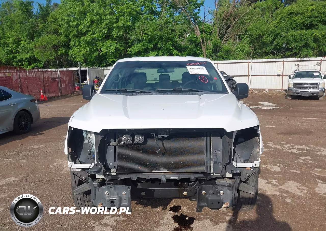 2019 Ford F-150 Xl VIN:1FTEX1C59KKC54134 - 13