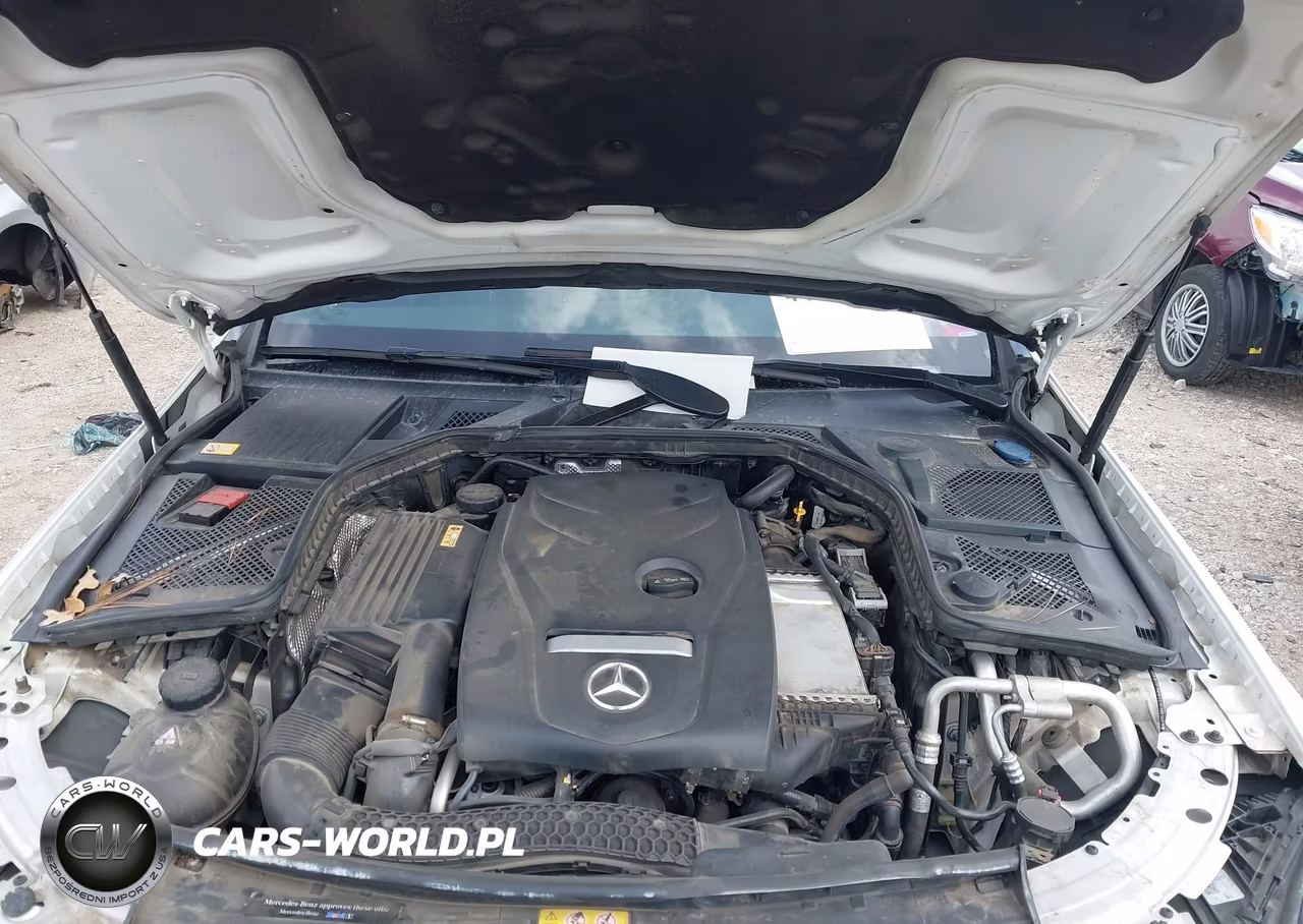 2015 Mercedes-Benz C 300 Sport VIN:55SWF4JB9FU079340 - 10